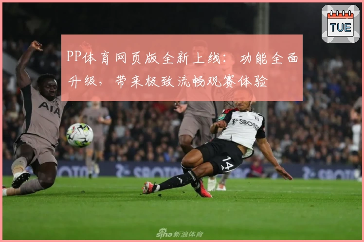 PP体育网页版全新上线：功能全面升级，带来极致流畅观赛体验